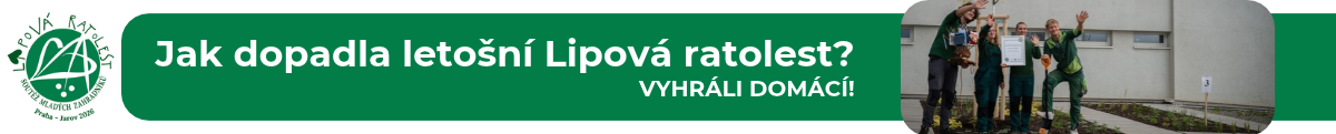 BannerLipovkaVyherci26