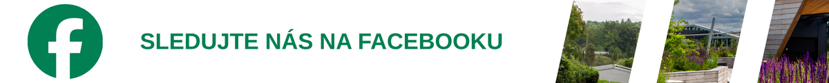 fbBANERWEB