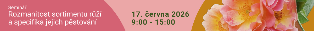 ruzeseminar26