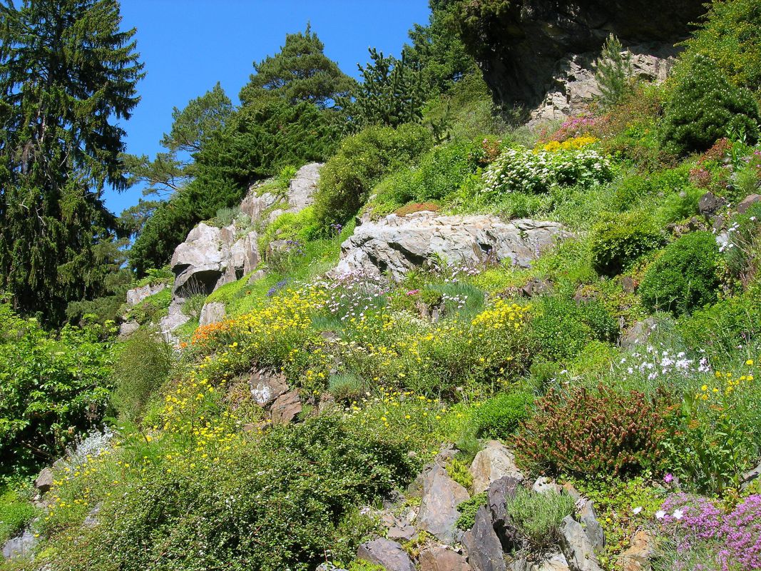 Alpinum 20_35
