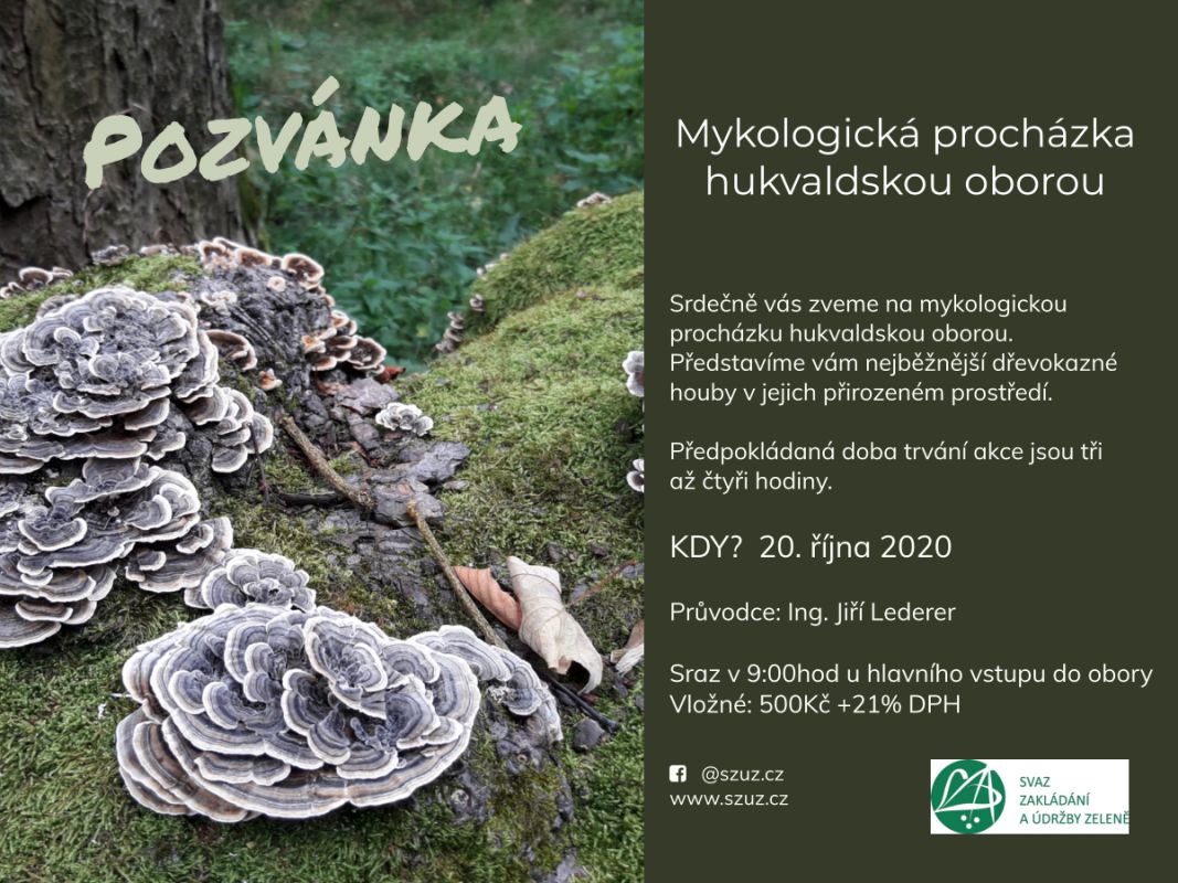 Pozvanka mykologicka prochazka