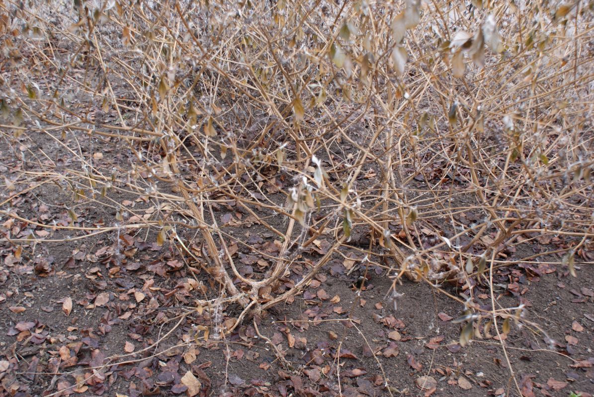 Foto 1b