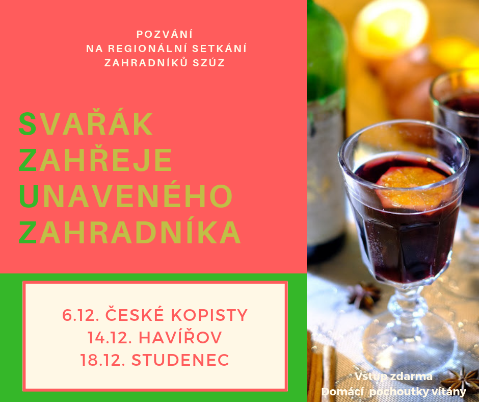 Pozvanka