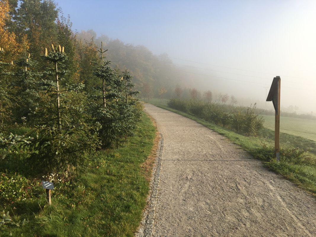 2018_foto1