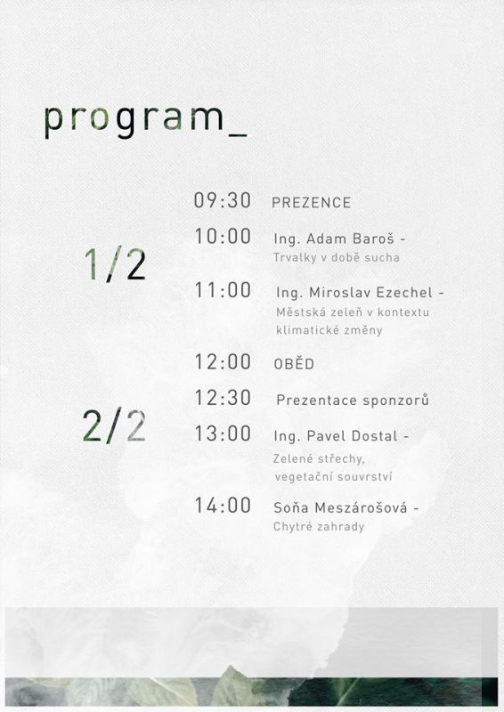 smz program