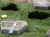 2008