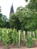 Vyšehrad