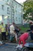 výsadba stromu
