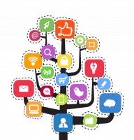 Web a sociální sitě 2015