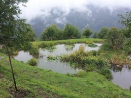 Rakousko, Permakultura
