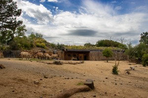 Zelené střechy a zelené stěny v Zoo Praha: Exkurze po vybraných realizacích